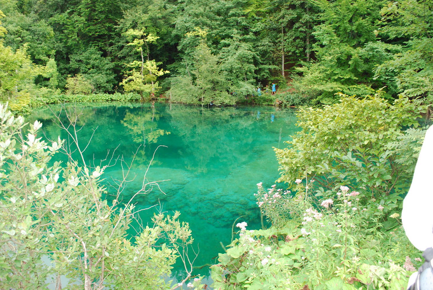 Plitvice Lakes N.P.